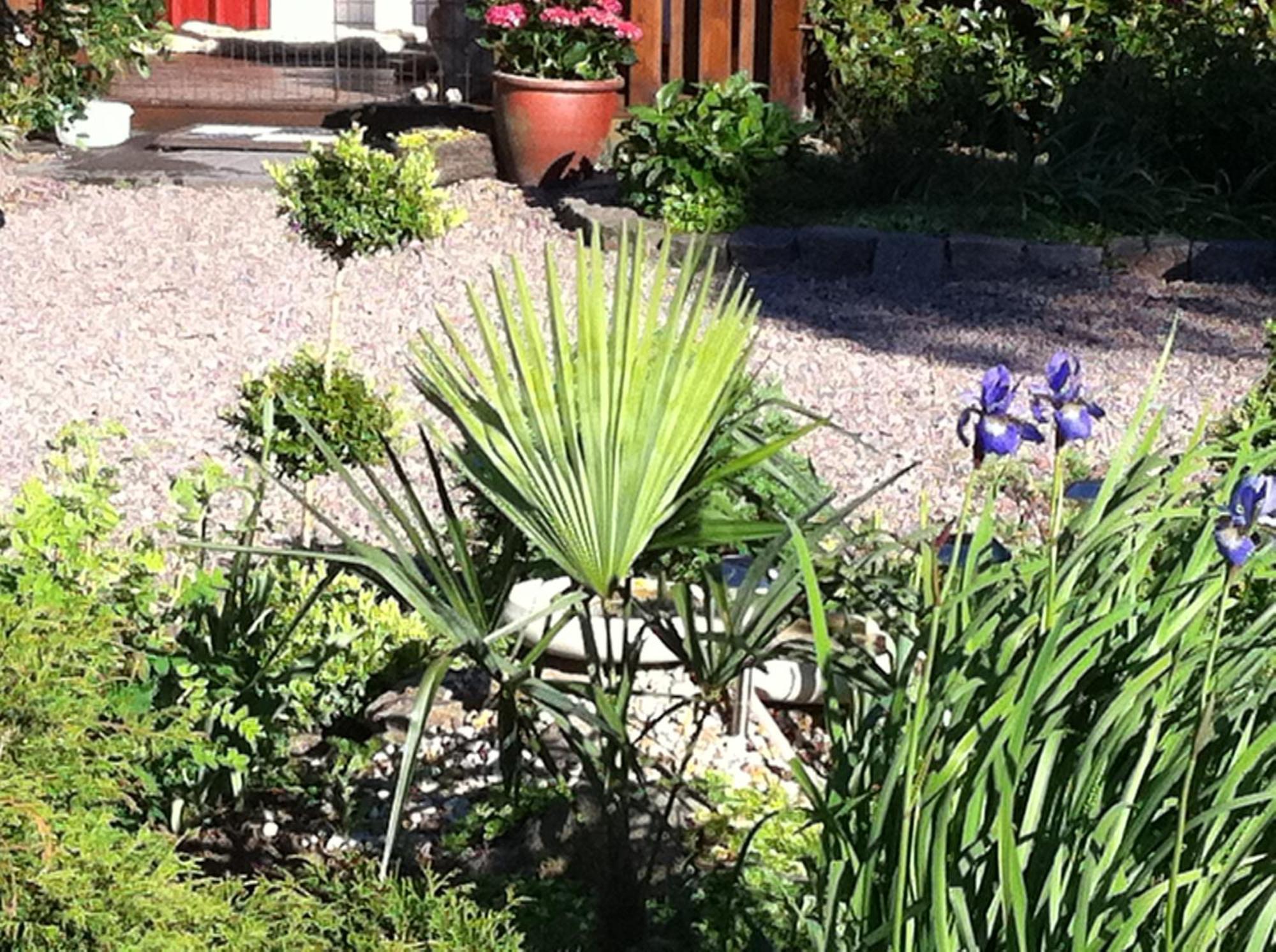 Mattisgarden Bed & Breakfast Эстра-Юнгбю Экстерьер фото